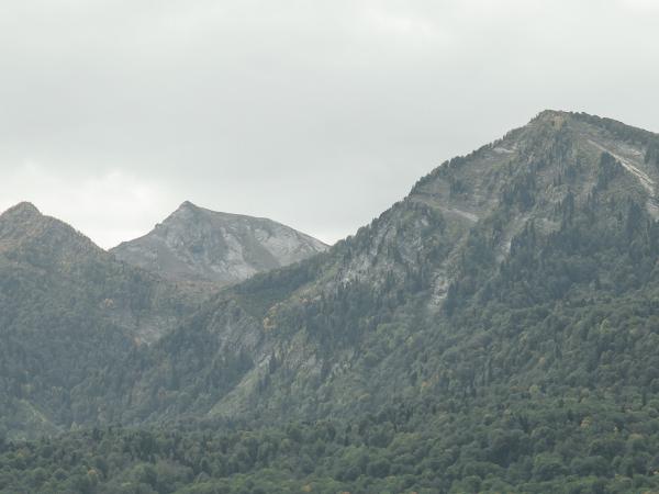 Стандартный номер